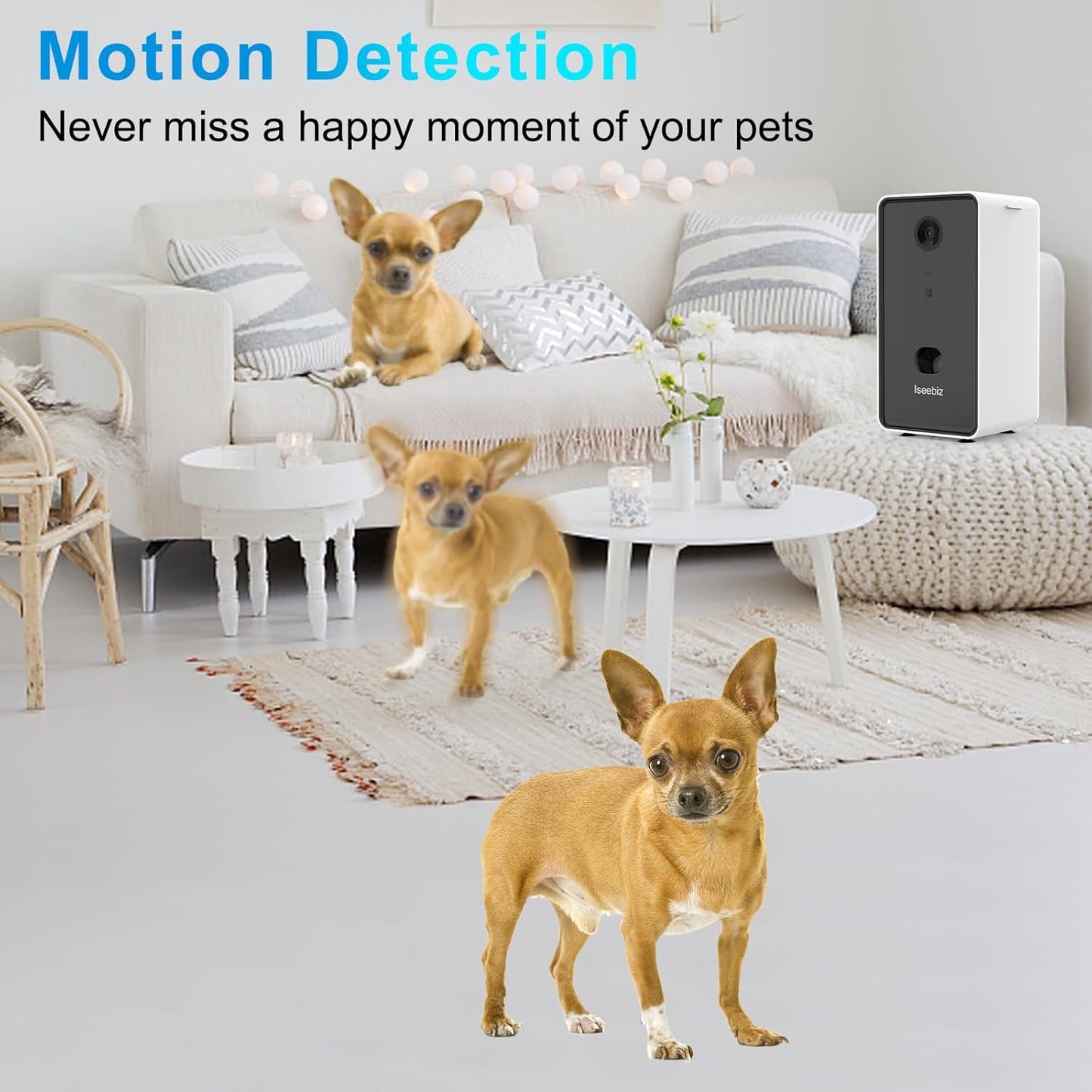 Pet Camera Treat Dispenser, 2 Way Audio Talk Listen, 5G Wifi, 1080P Night Vision Cat Dog Cam, App Control Tossing, Multi Devices Login, Compatible with Alexa, Play with Your Dogs and Cats