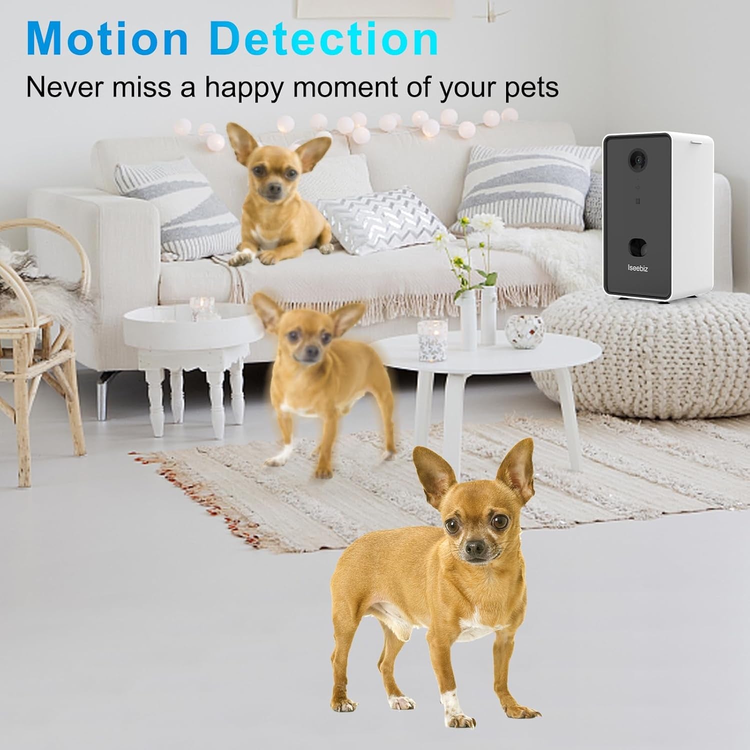 Pet Camera Treat Dispenser, 2 Way Audio Talk Listen, 5G Wifi, 1080P Night Vision Cat Dog Cam, App Control Tossing, Multi Devices Login, Compatible with Alexa, Play with Your Dogs and Cats